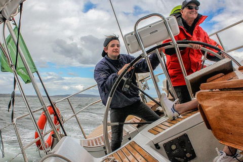 Half-Day Sailing On The Derwent River From Hobart - Accommodation Adelaide 3