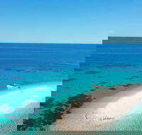 Ocean Safari Great Barrier Reef Experience in Cape Tribulation - Accommodation Adelaide