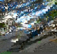 1/2 day Swan Valley Wine Cheese  Chocolate Tour Inc Afternoon Cruise to Perth - Accommodation Adelaide