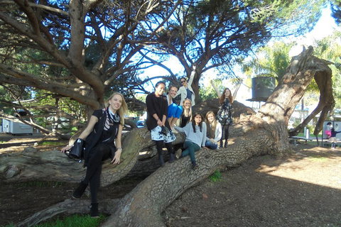 1/2 Day Swan Valley Wine Cheese & Chocolate Tour Inc Afternoon Cruise To Perth - Accommodation Adelaide 0