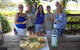 1/2 Day Swan Valley Wine Cheese & Chocolate Tour Inc Afternoon Cruise To Perth - thumb 3