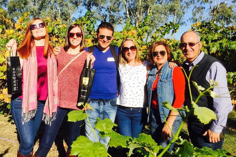Wine Tasting Day Trip And Swan Valley River Cruise To Perth - Accommodation Adelaide 2
