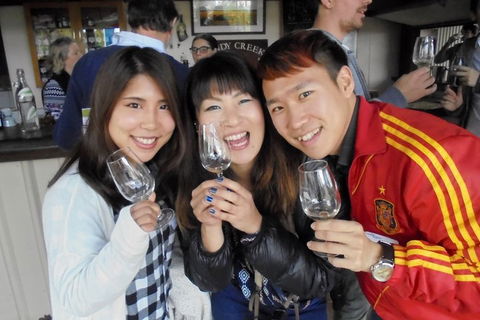 Wine Tasting Day Trip And Swan Valley River Cruise To Perth - Accommodation Adelaide 3