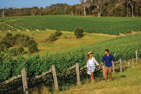 10 Day Perth To Adelaide Private Tour - The Great Australian Wilderness Journey - Accommodation Adelaide 0