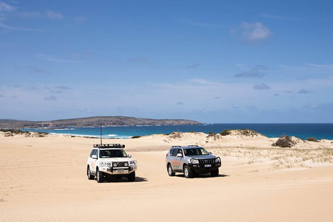 3 Day Port Lincoln And Coffin Bay Private Tour - Accommodation Adelaide 0