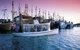 3 Day Port Lincoln And Coffin Bay Private Tour - thumb 2