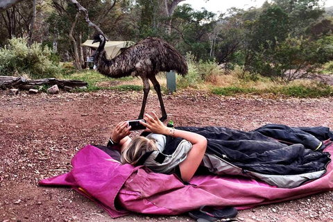 6 Day Esperance & Margaret River Adventure Tour - Accommodation Adelaide 5