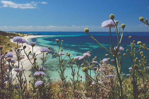 Rottnest Island Full-Day Trip With Guided Island Tour From Perth - Accommodation Adelaide 2