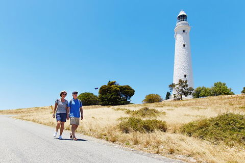 Rottnest Island Full-Day Trip With Guided Island Tour From Perth - Accommodation Adelaide 4