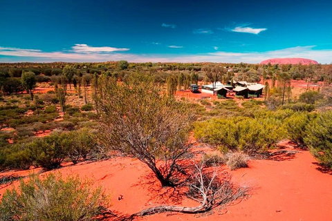 Overnight Uluru (Ayers Rock) Small-Group Camping Tour - Accommodation Adelaide 2