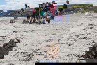 Book Viator Accommodation Vacations Accommodation Adelaide Accommodation Adelaide