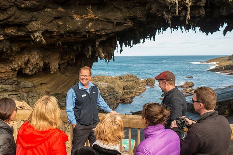 Kangaroo Island In A Day Tour From Adelaide - Accommodation Adelaide 3