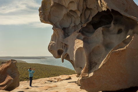 Kangaroo Island In A Day Tour From Adelaide - Accommodation Adelaide 5