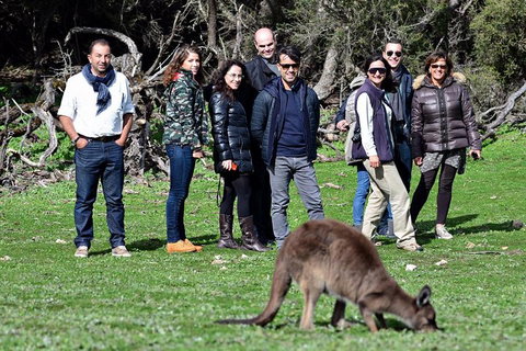 2-Day Kangaroo Island 4WD Small-Group Tour From Adelaide - Accommodation Adelaide 1