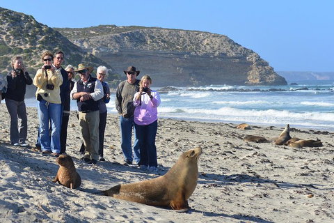 2-Day Kangaroo Island 4WD Small-Group Tour From Adelaide - Accommodation Adelaide 3