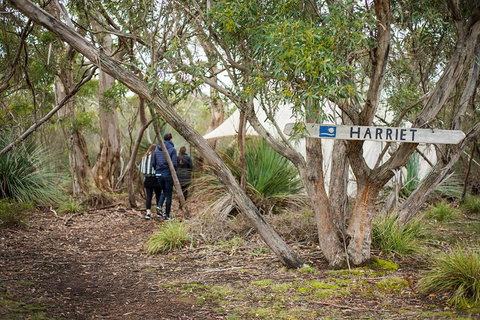 2-Day Kangaroo Island 4WD Small-Group Tour From Adelaide - Accommodation Adelaide 5