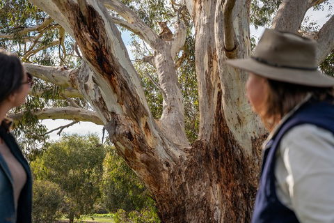 NEW TOUR - Kangaroo Island Road To Recovery Tour (1 Day/1 Night) - Accommodation Adelaide 0