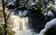 Cradle Mountain Day Tour From Launceston Including Lunch - thumb 0