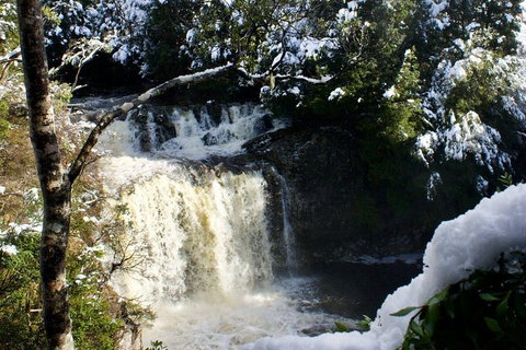 Cradle Mountain Day Tour From Launceston Including Lunch - Accommodation Adelaide 0