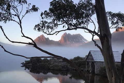 Cradle Mountain Park Explorer Guided Tour - Accommodation Adelaide 5