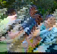 Small-Group Australia Zoo Day Trip from Brisbane - Accommodation Adelaide