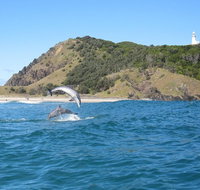 Kayaking with Dolphins in Byron Bay Guided Tour - Accommodation Adelaide