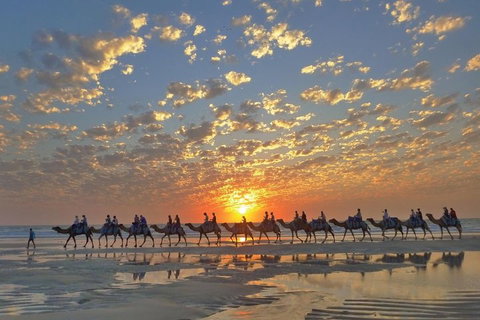 Broome City Sightseeing Tour With Optional Camel Ride - Accommodation Adelaide 1