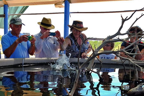 Cape Leveque 4WD Tour From Broome With Optional Return Flight - Accommodation Adelaide 0