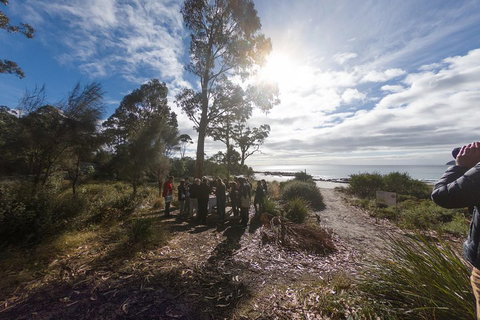 Bruny Island Day Tour, Includes Lunch And Exclusive Lighthouse Tour - Accommodation Adelaide 5