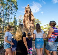 Litchfield National Park Waterfalls and Wildlife Tour from Darwin - Accommodation Adelaide