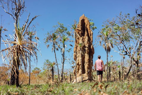 Litchfield National Park Waterfalls And Wildlife Tour From Darwin - Accommodation Adelaide 4