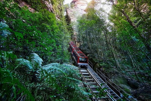 Blue Mountains Private Tour With Kangaroos & Koala Encounter - Accommodation Adelaide 1