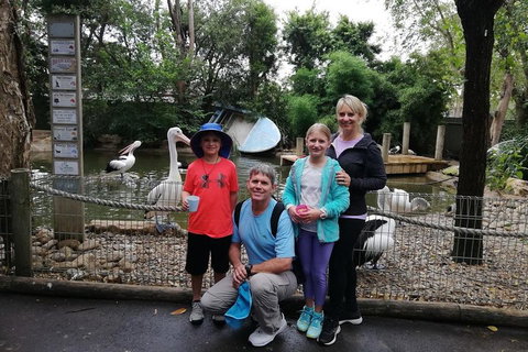Blue Mountains Private Tour With Kangaroos & Koala Encounter - Accommodation Adelaide 4