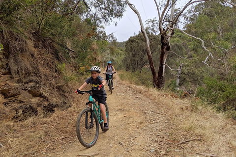 Mount Lofty Descent Bike Tour From Adelaide - Accommodation Adelaide 0