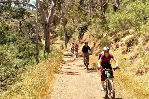 Mount Lofty Descent Bike Tour From Adelaide - Accommodation Adelaide 3