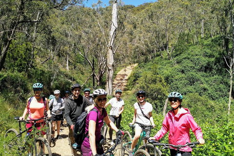 Mount Lofty Descent Bike Tour From Adelaide - Accommodation Adelaide 5
