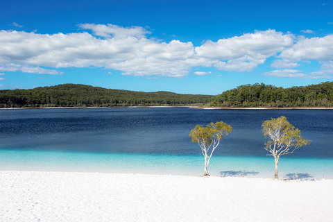 All-Inclusive Fraser Island Day Tour - Accommodation Adelaide 3