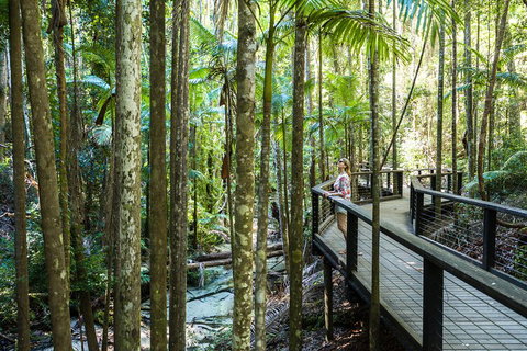 All-Inclusive Fraser Island Day Tour - Accommodation Adelaide 5