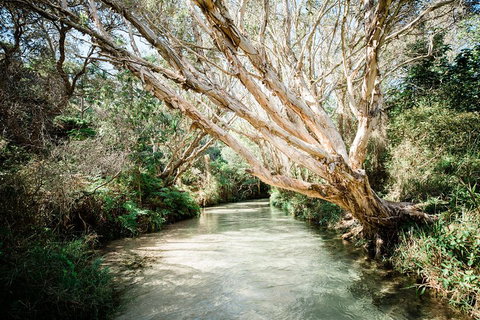 3-Day Fraser Island Resort Package - Accommodation Adelaide 5