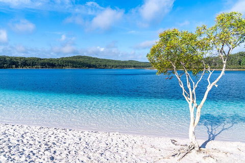 Lake McKenzie Full-Day Tour With Lunch From Hervey Bay - Accommodation Adelaide 1