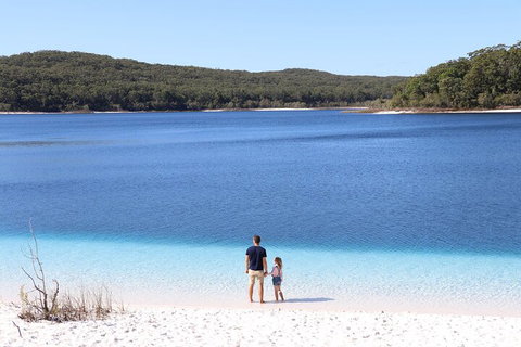 Lake McKenzie Full-Day Tour With Lunch From Hervey Bay - Accommodation Adelaide 2