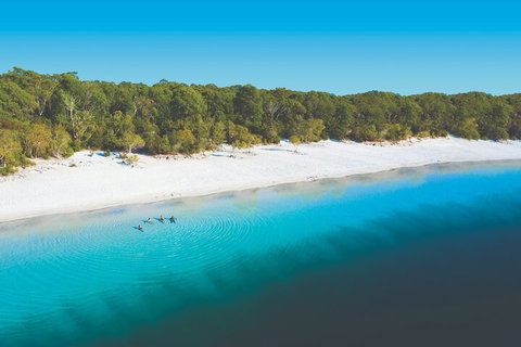 Lake McKenzie Full-Day Tour With Lunch From Hervey Bay - Accommodation Adelaide 4