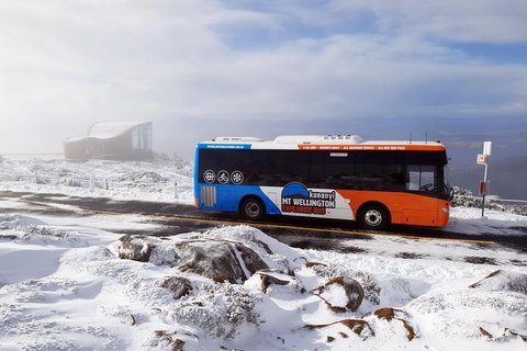 Hobart Hop-On Hop-Off Bus & Kunanyi/Mt Wellington Tour - Accommodation Adelaide 5