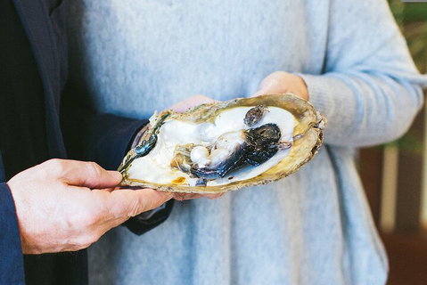 Half-Day Willie Creek Pearl Farm Tour With Helicopter Flight - Accommodation Adelaide 3