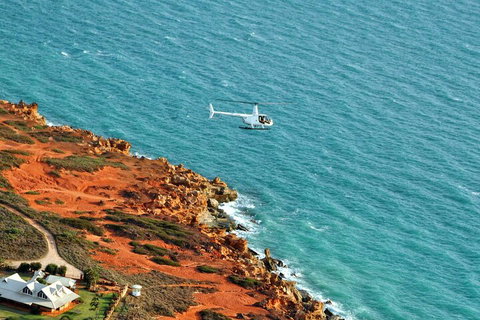 Half-Day Willie Creek Pearl Farm Tour With Helicopter Flight - Accommodation Adelaide 4