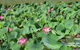 Darwin To Kakadu Day Trip By Air Including Yellow Water Cruise - thumb 2