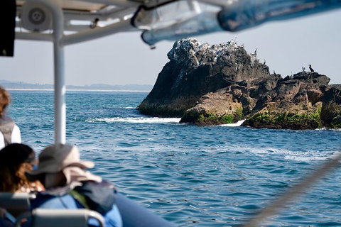 Julian Rocks Byron Bay Cruise - Accommodation Adelaide 2