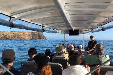 Julian Rocks Byron Bay Cruise - Accommodation Adelaide 4
