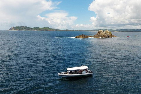 Julian Rocks Byron Bay Cruise - Accommodation Adelaide 5