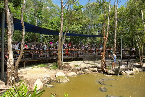 Hartley's Crocodile Adventures Breakfast With The Koalas - Accommodation Adelaide 1